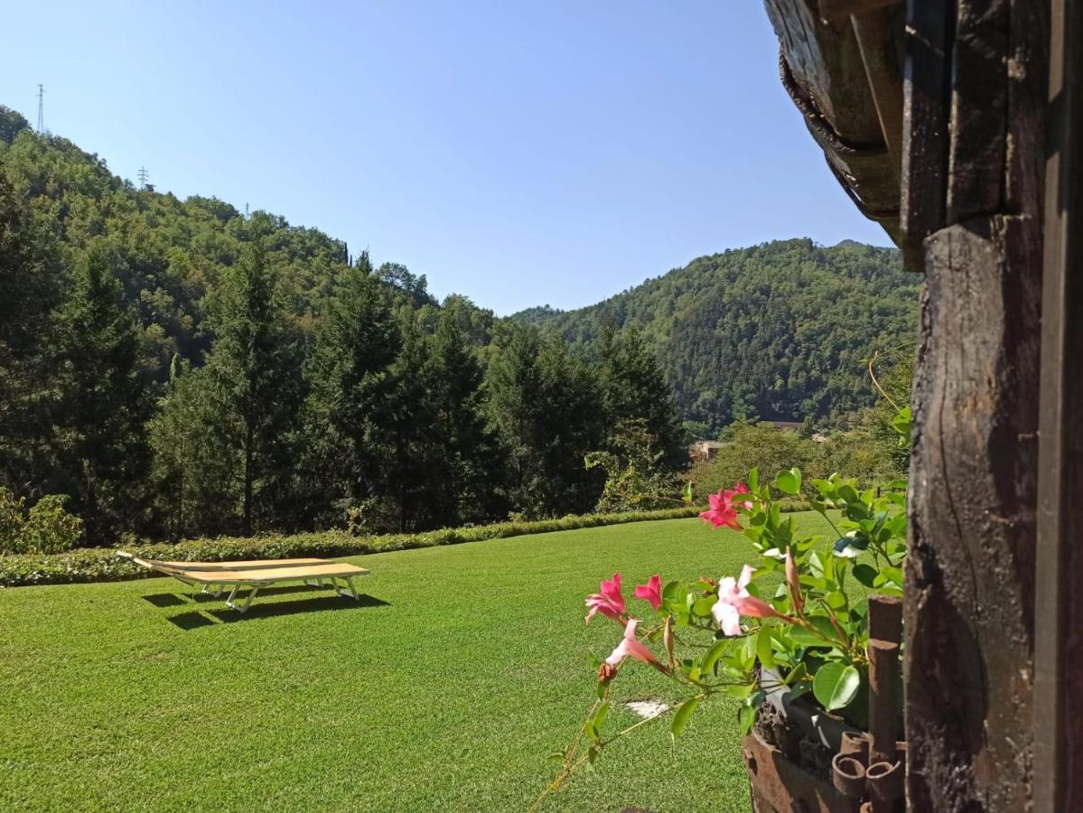 דירות Borzonasca Il Bosco Di Campo Marzano Sunlight מראה חיצוני תמונה