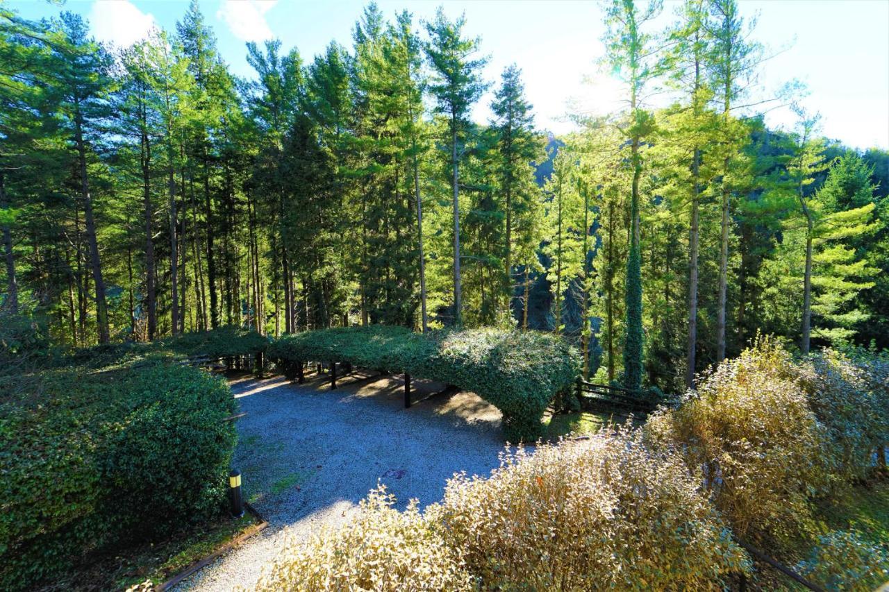 דירות Borzonasca Il Bosco Di Campo Marzano Sunlight מראה חיצוני תמונה