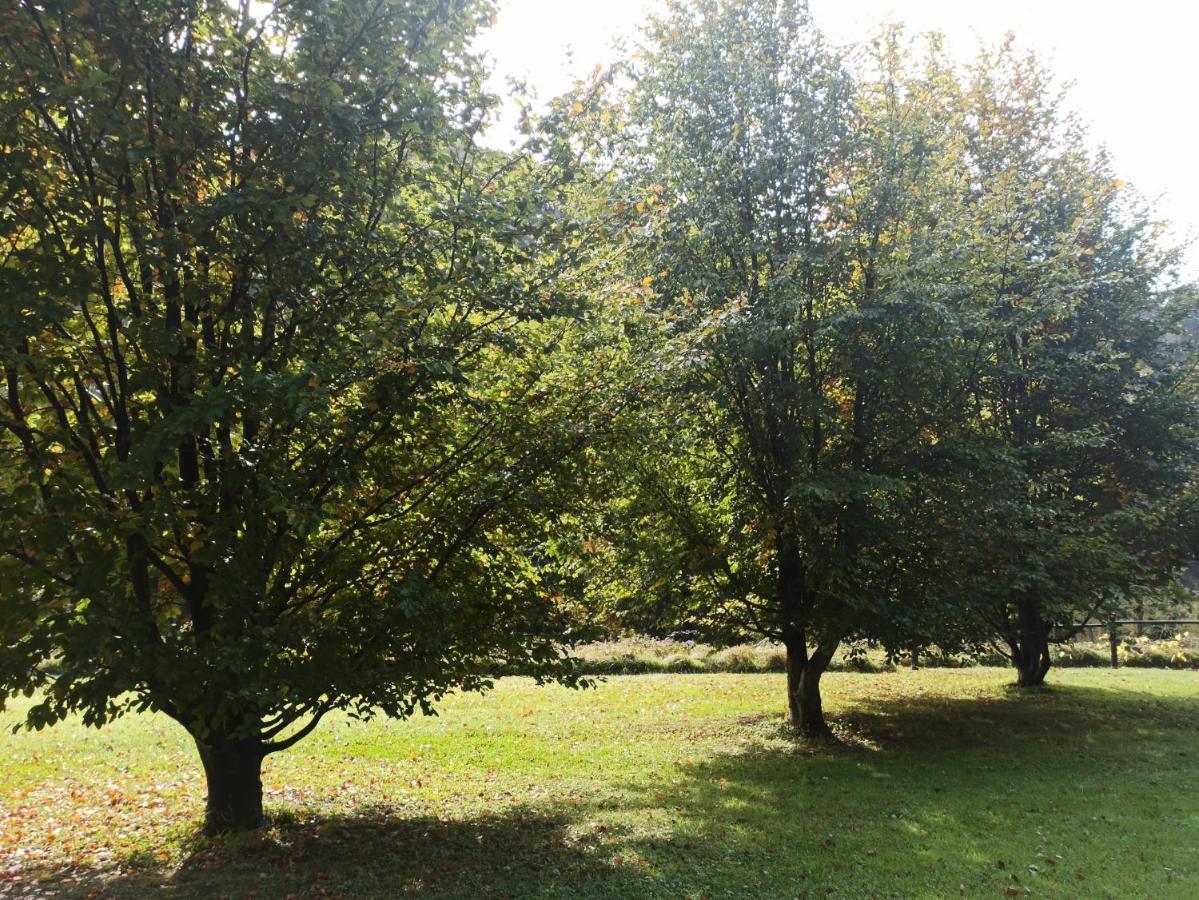 דירות Borzonasca Il Bosco Di Campo Marzano Sunlight מראה חיצוני תמונה
