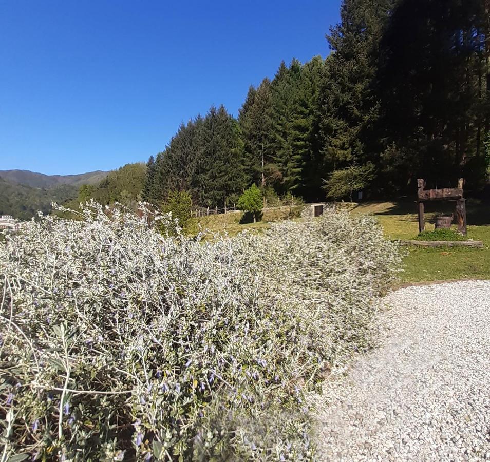 דירות Borzonasca Il Bosco Di Campo Marzano Sunlight מראה חיצוני תמונה