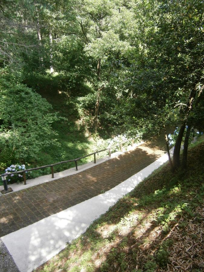 דירות Borzonasca Il Bosco Di Campo Marzano Sunlight מראה חיצוני תמונה