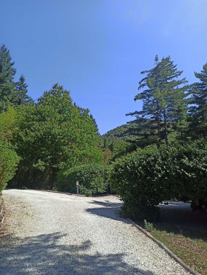 דירות Borzonasca Il Bosco Di Campo Marzano Sunlight מראה חיצוני תמונה