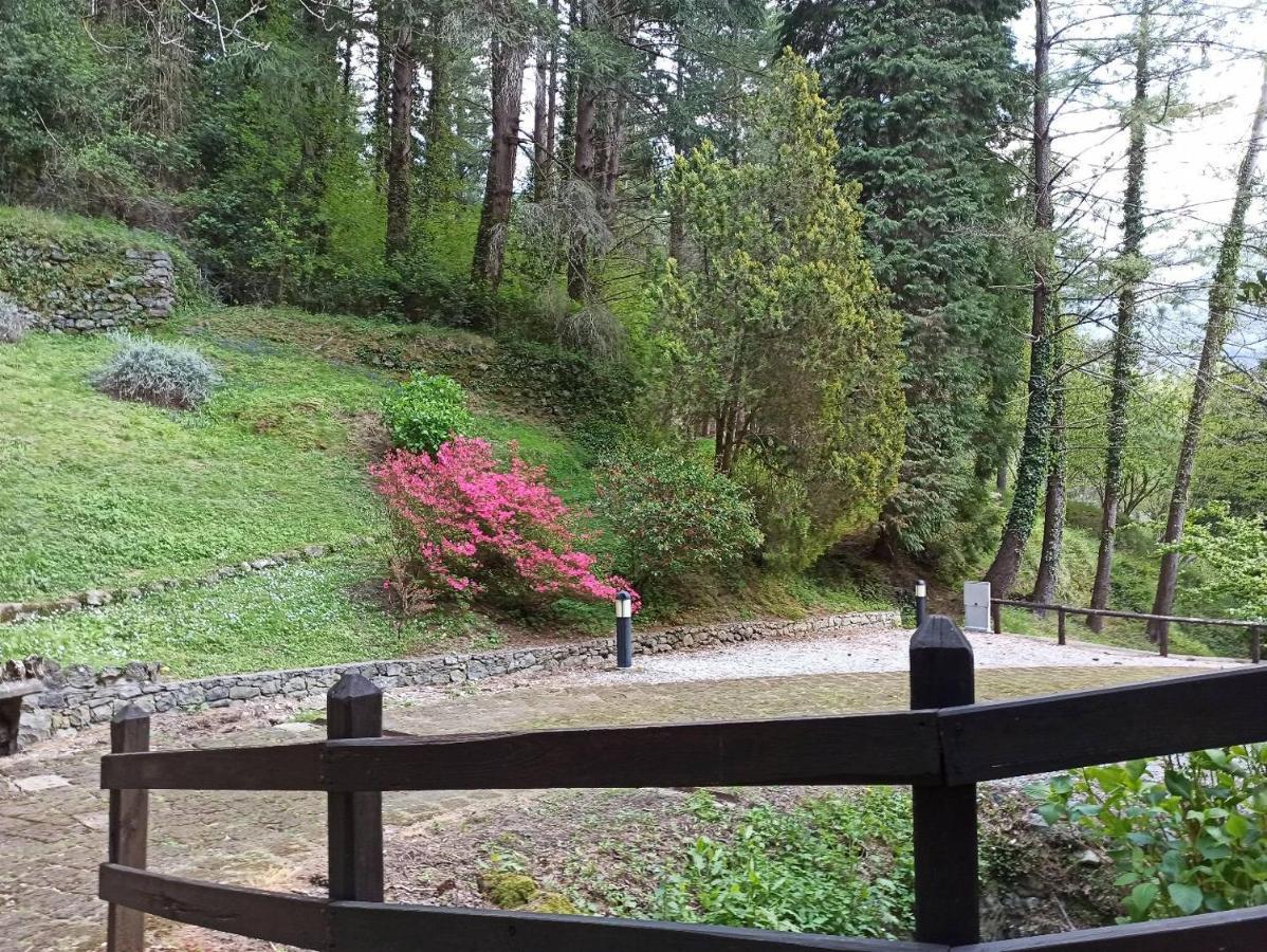 דירות Borzonasca Il Bosco Di Campo Marzano Sunlight מראה חיצוני תמונה