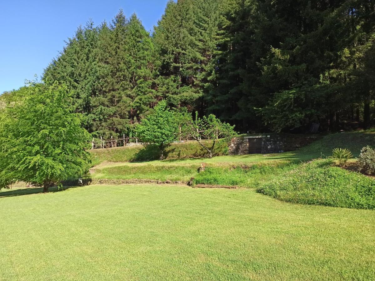 דירות Borzonasca Il Bosco Di Campo Marzano Sunlight מראה חיצוני תמונה