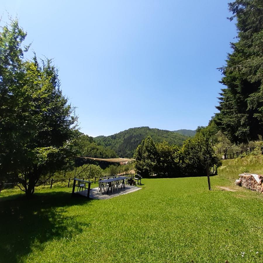 דירות Borzonasca Il Bosco Di Campo Marzano Sunlight מראה חיצוני תמונה